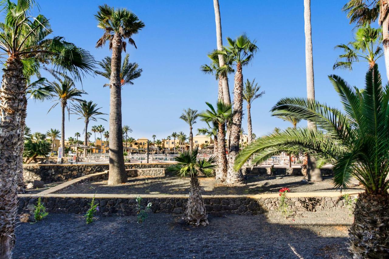 Apartament Apartamento Papagayo Corralejo Zewnętrze zdjęcie