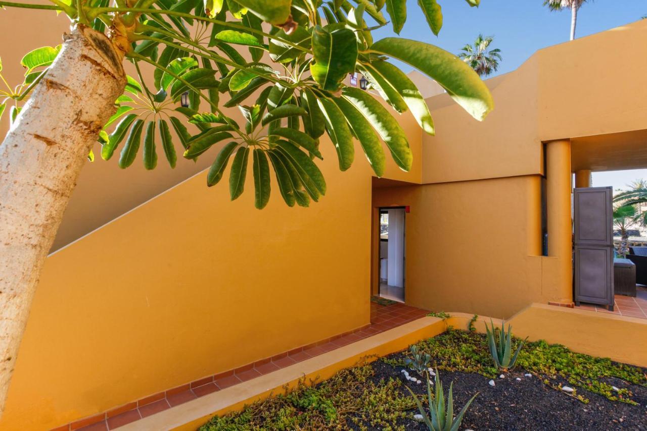 Apartament Apartamento Papagayo Corralejo Zewnętrze zdjęcie