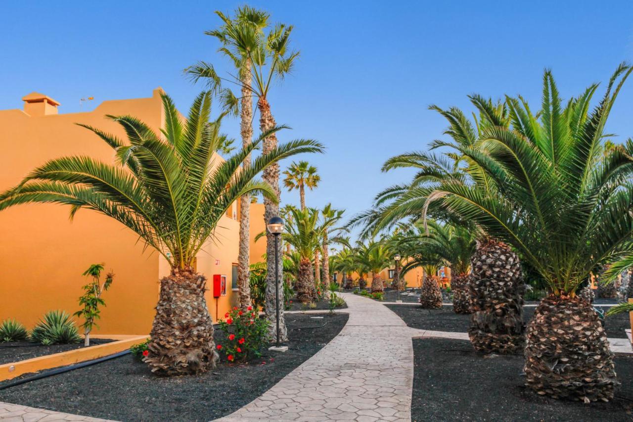 Apartament Apartamento Papagayo Corralejo Zewnętrze zdjęcie